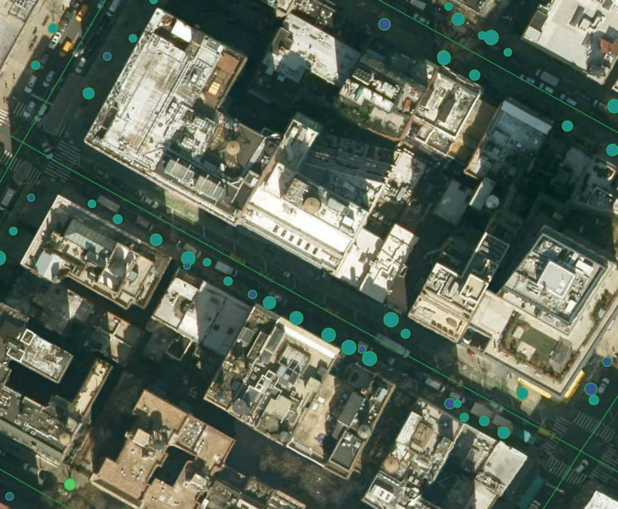 Satellite image of New York City blocks with a dot on each measured street tree